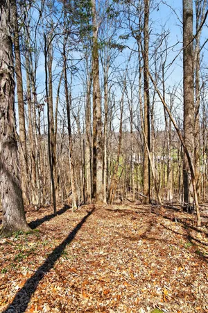$3,000 | 1967 Highway 52 West, Portland, TN 37148