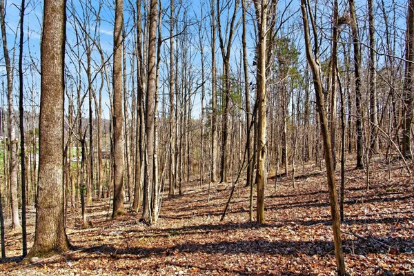 $3,000 | 1967 Highway 52 West, Portland, TN 37148