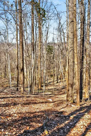 $3,000 | 1967 Highway 52 West, Portland, TN 37148