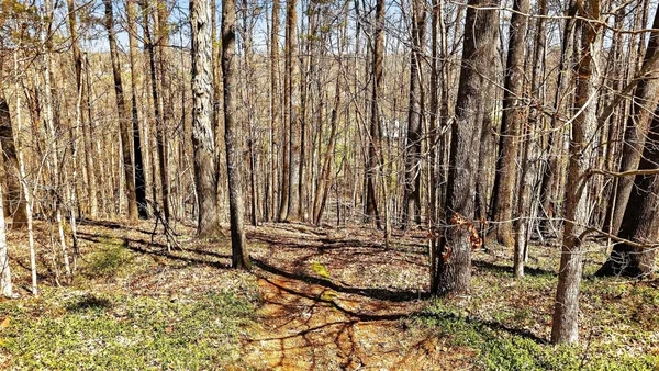 $3,000 | 1967 Highway 52 West, Portland, TN 37148