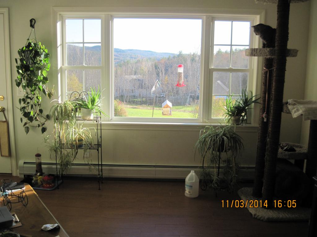 155 10 Mile Brook Road Bristol, NH 03222 - Photo 17 of 40 Gallery Image 17