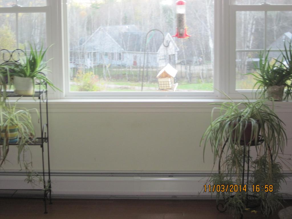 155 10 Mile Brook Road Bristol, NH 03222 - Photo 18 of 40 Gallery Image 18