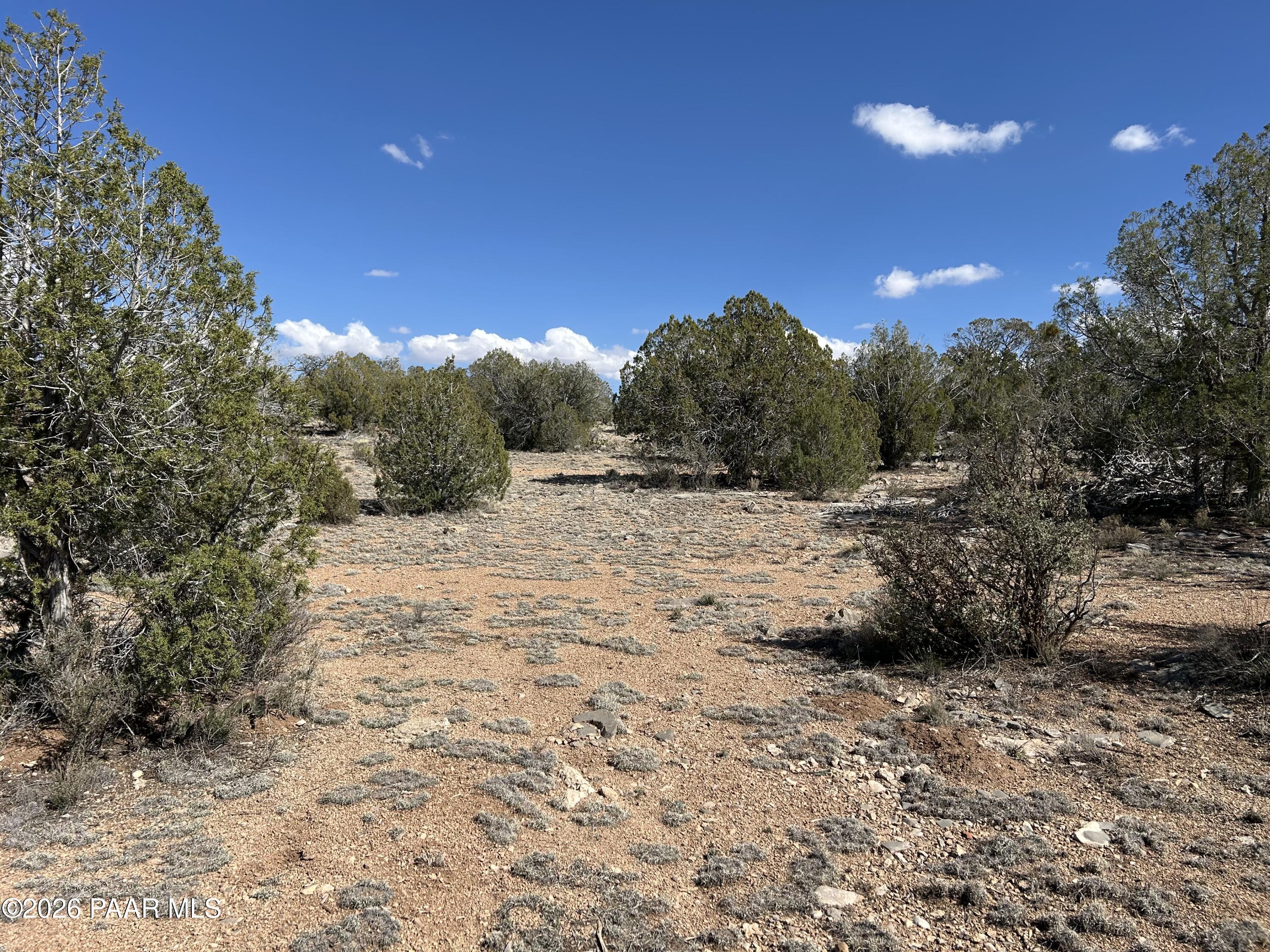 0 North Pumphouse Road Seligman, AZ 86337 - Photo 23 of 25 IMG_5867