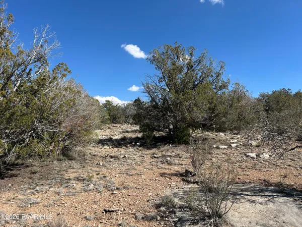 a view of a yard with mountain view