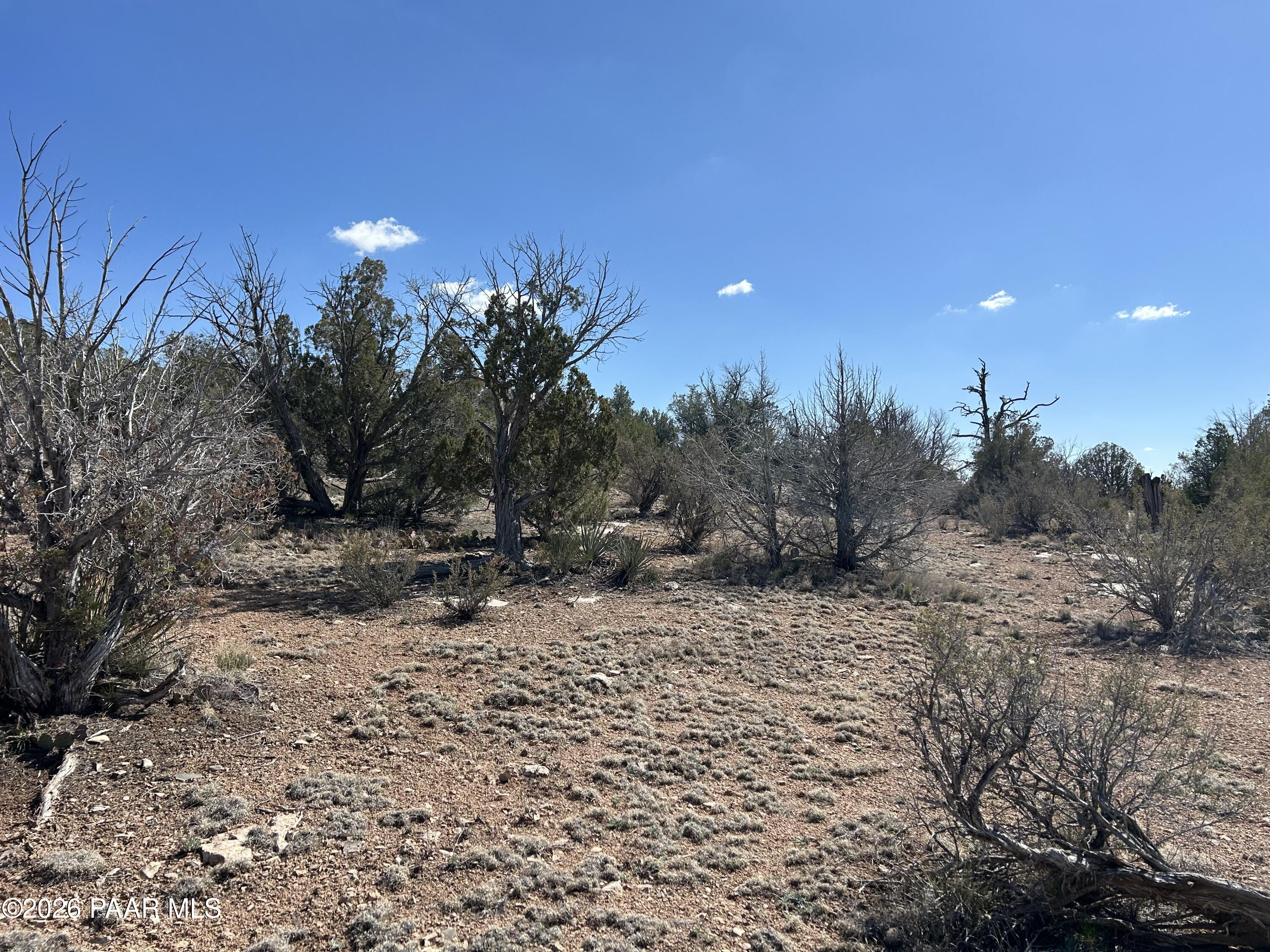 0 North Pumphouse Road Seligman, AZ 86337 - Photo 25 of 25 IMG_5873 (1)