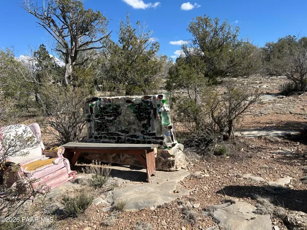 a view of a bench in the middle of a yard