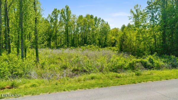 Old Mine Road Sweetwater, TN 37874 - Photo 1 of 12 1