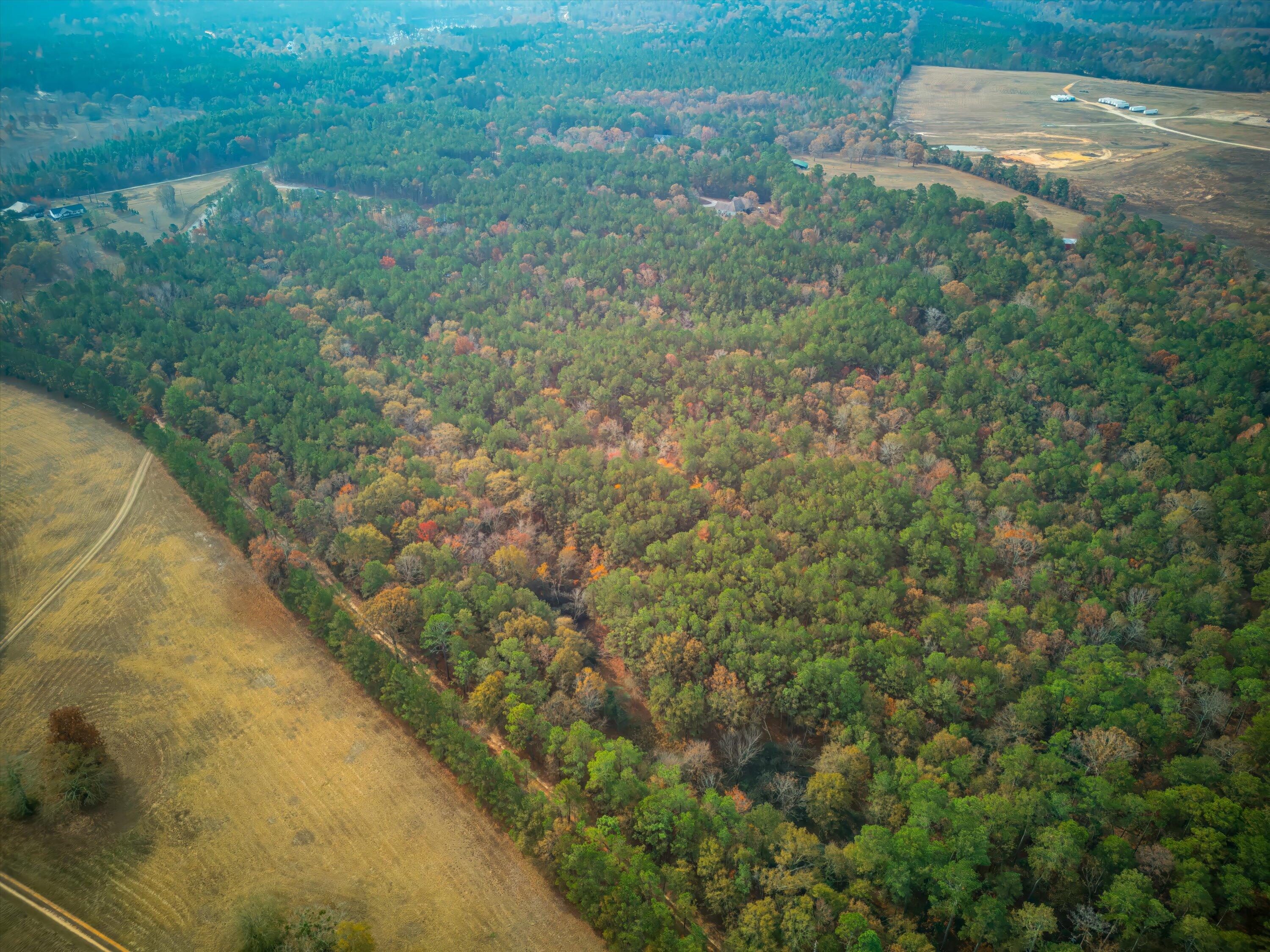 0 Windy Ridge Road Trenton, SC 29847 - Photo 13 of 16 05-DJI_0906-HDR