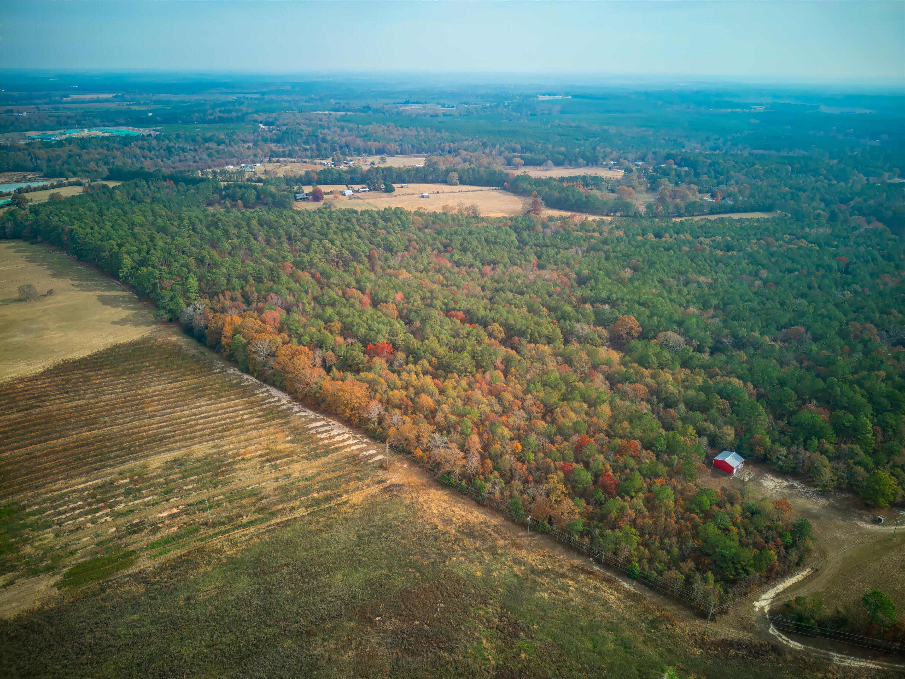 0 Windy Ridge Road Trenton, SC 29847 - Photo 14 of 16 11-DJI_0924-HDR