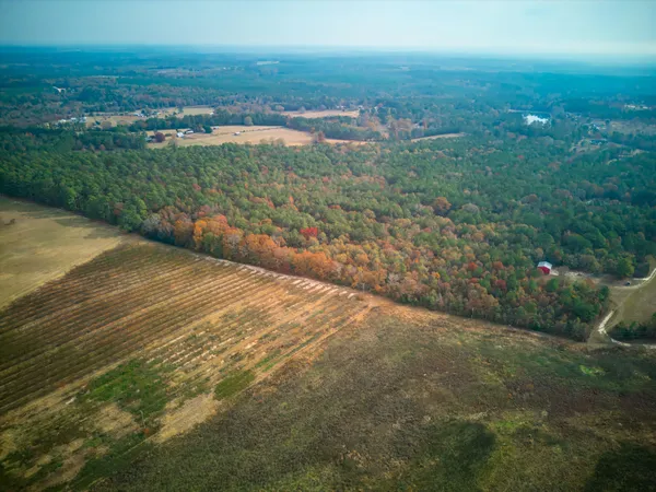 $299,900 | 0 Windy Ridge Road, Trenton, SC 29847