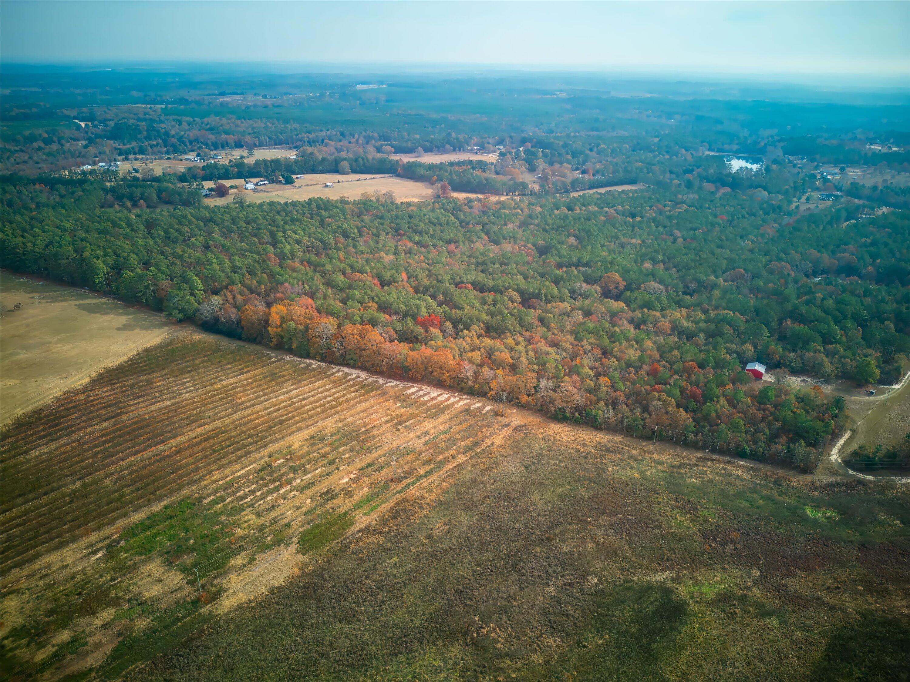 0 Windy Ridge Road Trenton, SC 29847 - Photo 15 of 16 12-DJI_0927-HDR