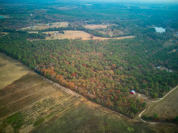 $299,900 | 0 Windy Ridge Road, Trenton, SC 29847