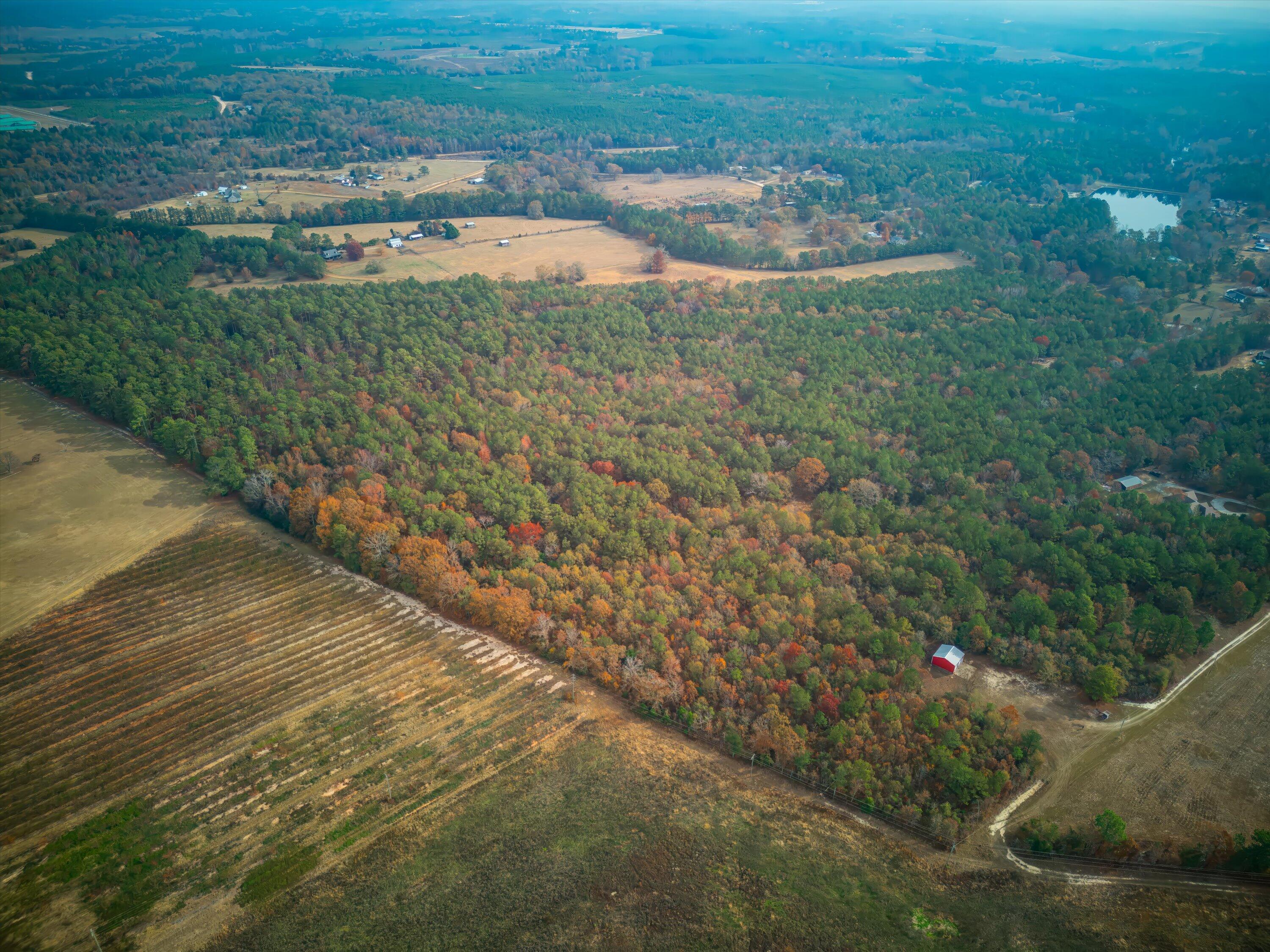 0 Windy Ridge Road Trenton, SC 29847 - Photo 16 of 16 13-DJI_0930-HDR
