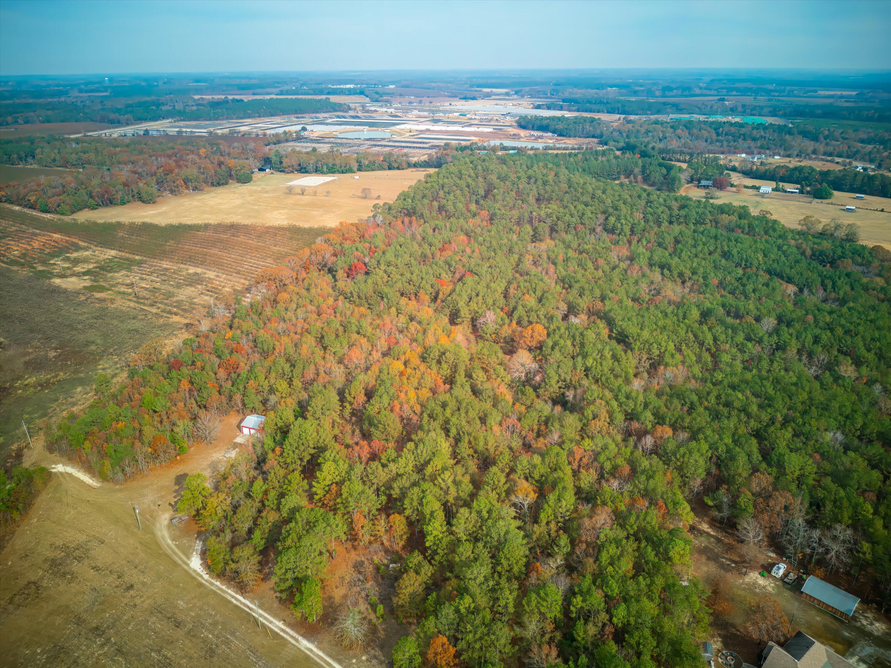 0 Windy Ridge Road Trenton, SC 29847 - Photo 7 of 16 07-DJI_0912-HDR