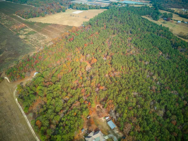 $299,900 | 0 Windy Ridge Road, Trenton, SC 29847