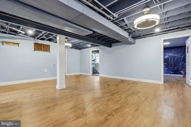 a view of a backyard with plants and a slide