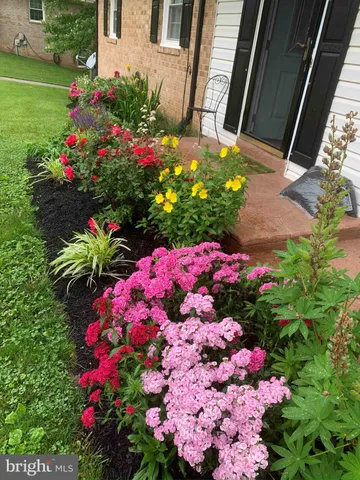 a view of backyard with wheel chair and potted plants