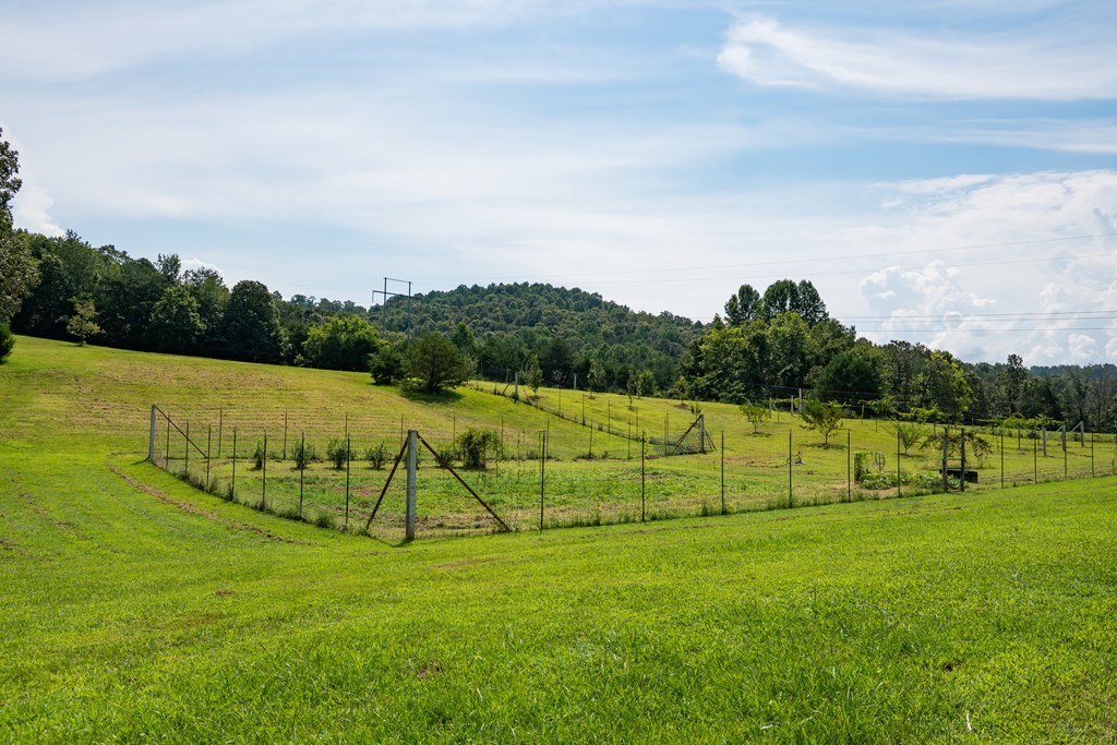 1518 Cummingsville And Sparkman Road Doyle, TN 38559 - Photo 20 of 49