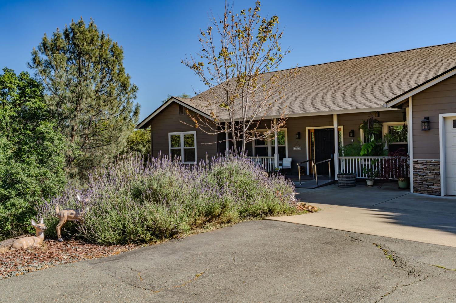 13838 Bowman Road Pine Grove, CA 95665 - Photo 4 of 93