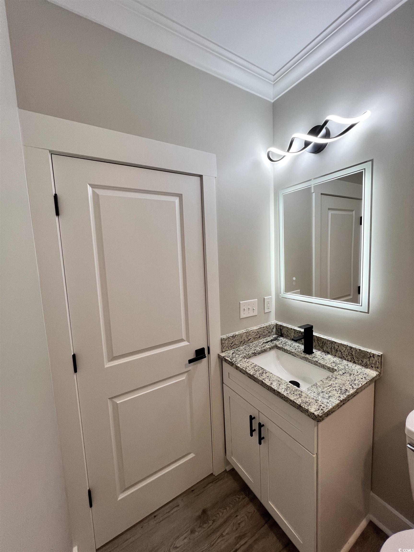 1795 Hemingway Street Conway, SC 29527 - Photo 17 of 29 Half bath featuring vanity, dark wood-type flooring, and ornamental molding