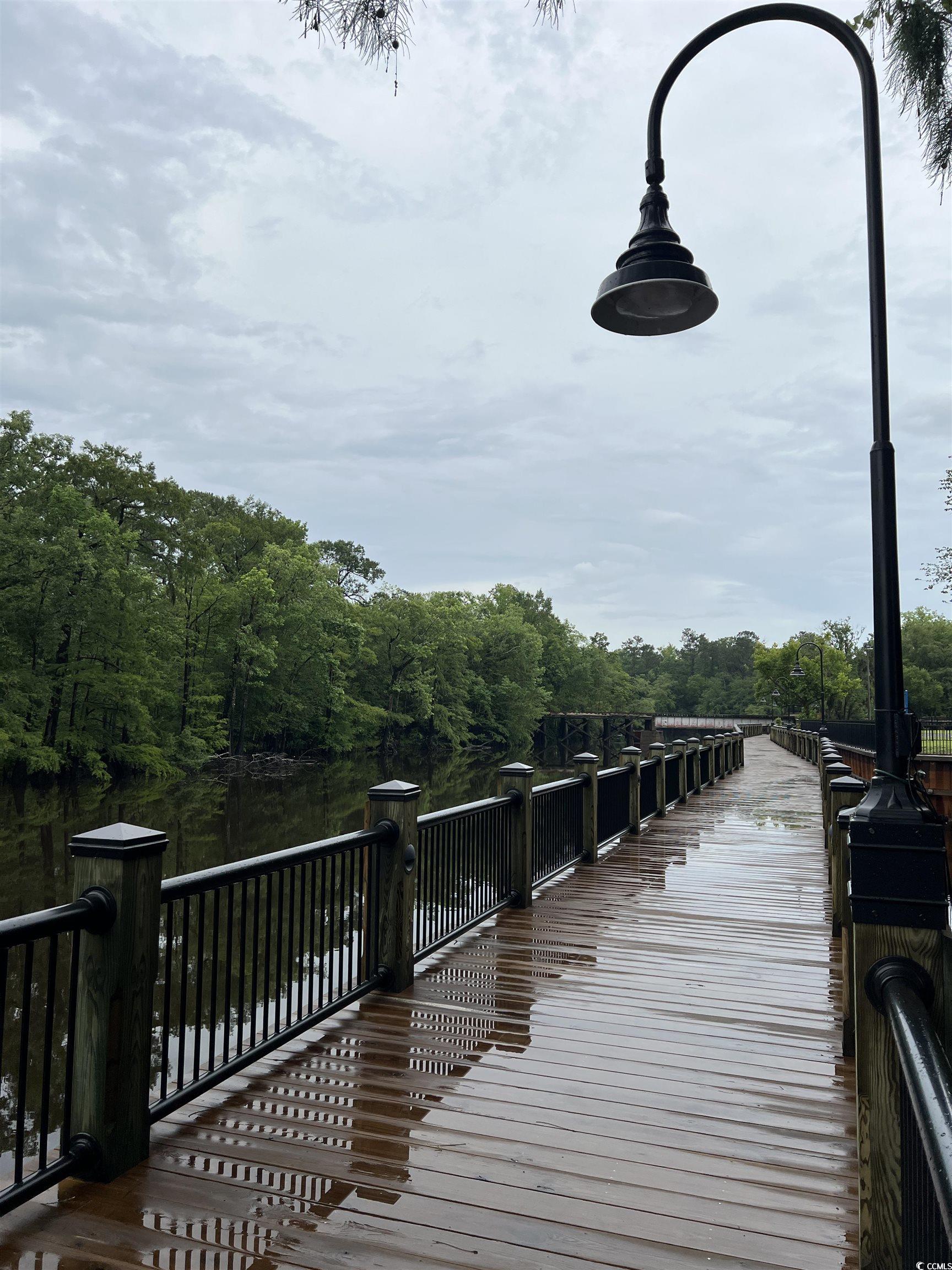 1795 Hemingway Street Conway, SC 29527 - Photo 25 of 29 Dock with a view of trees