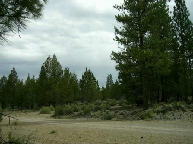 43 On Butte Ck Road Macdoel, CA 96058 - Photo 2 of 3 Gallery Image 2