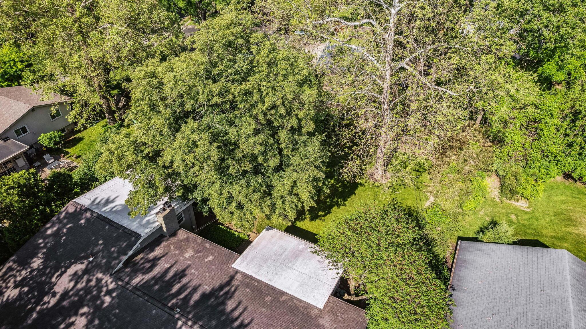 4103 Winfield Road Columbus, OH 43220 - Photo 84 of 91 Backyard - Drone