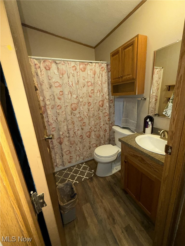 56 3rd Street Rayland, OH 43943 - Photo 40 of 46 Full bathroom featuring crown molding, dark wood-style floors, curtained shower, vanity, and a textured ceiling