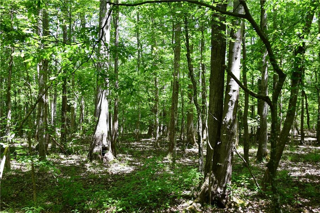 1 Wilson Road Temple, GA 30179 - Photo 20 of 88