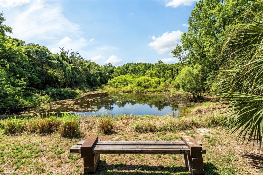3304 Moran Road Tampa, FL 33618 - Photo 3 of 49