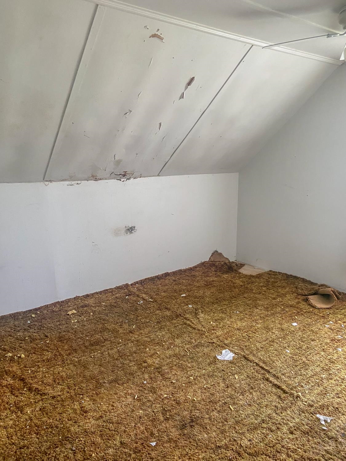 25 Johnny Cake Avenue Lunenburg, VT 05906 - Photo 6 of 19