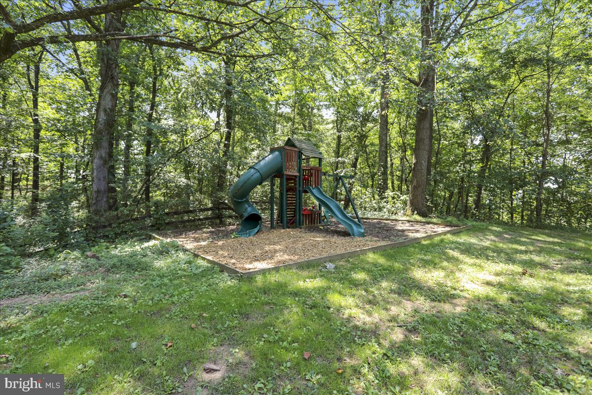 20315 West Hunter Road Bealsville, MD 20839 - Photo 52 of 73 Great Playground!