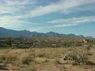 5324 East Edwin Road Tucson, AZ 85739 - Photo 1 of 5