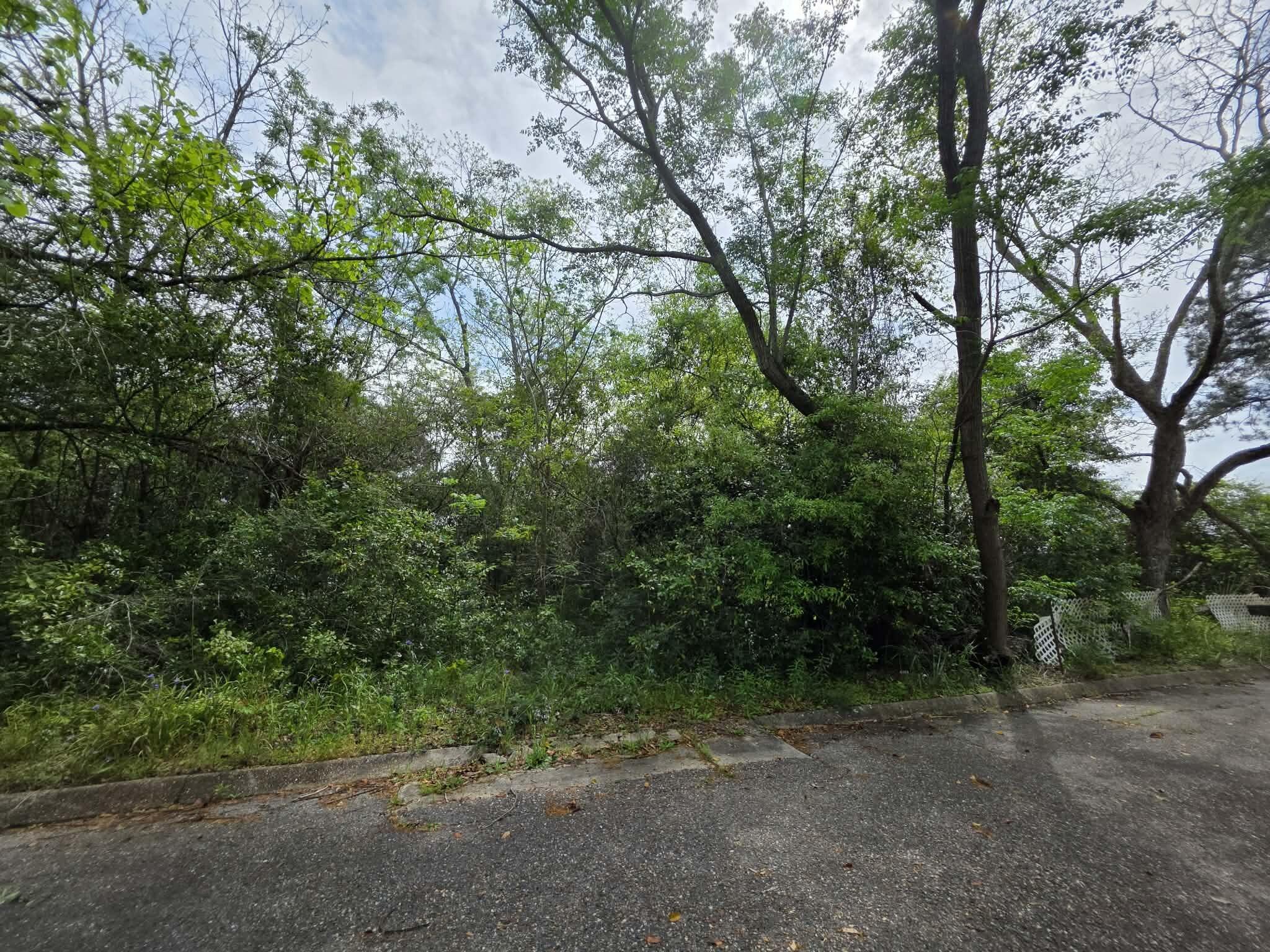 Lot 3-4 Gordon Road Florala, AL 36442 - Photo 1 of 6 a view of a forest with trees in the background