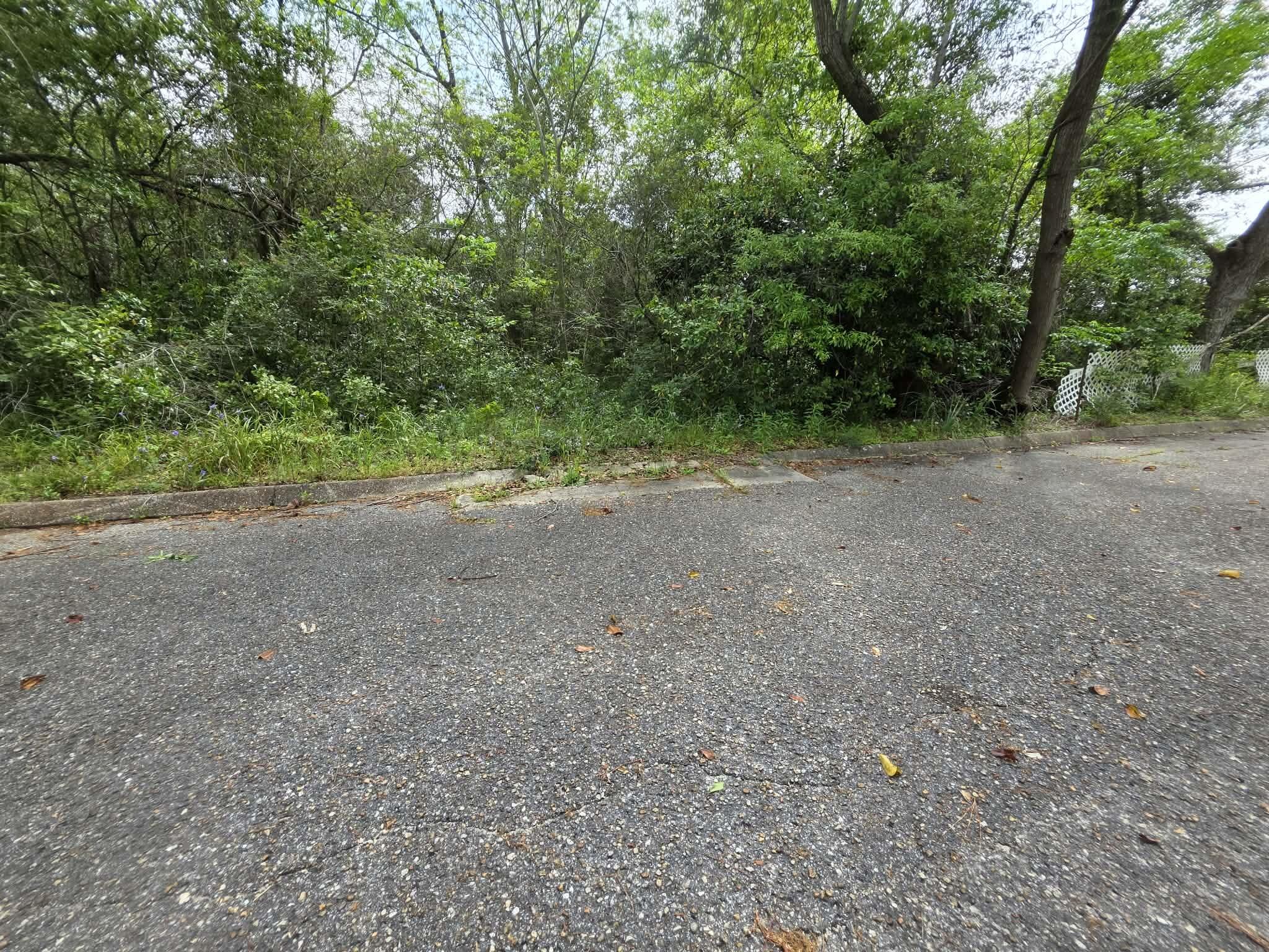 Lot 3-4 Gordon Road Florala, AL 36442 - Photo 4 of 6 a view of a yard with a tree