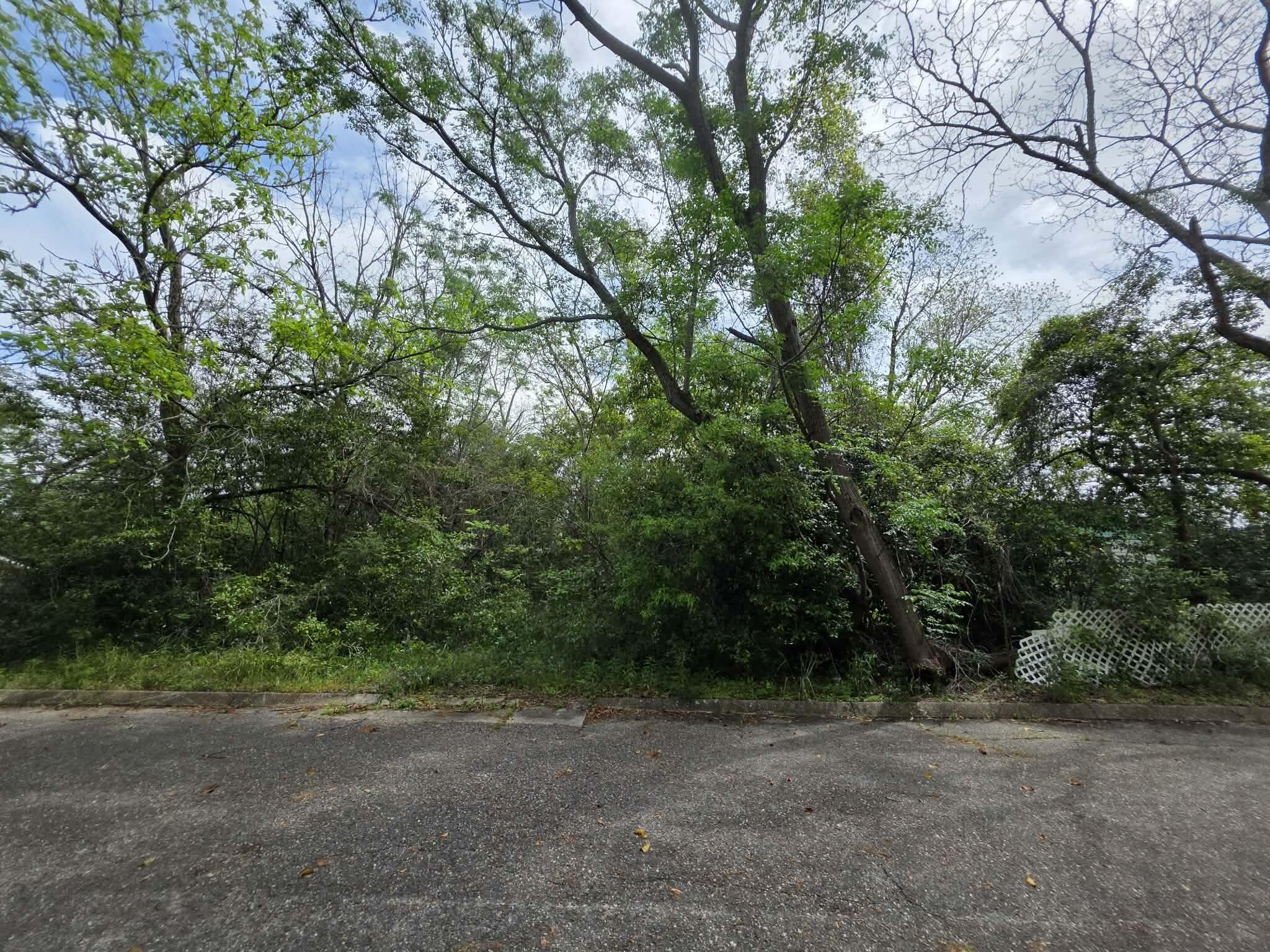 Lot 3-4 Gordon Road Florala, AL 36442 - Photo 6 of 6 a view of a dirt road with large trees