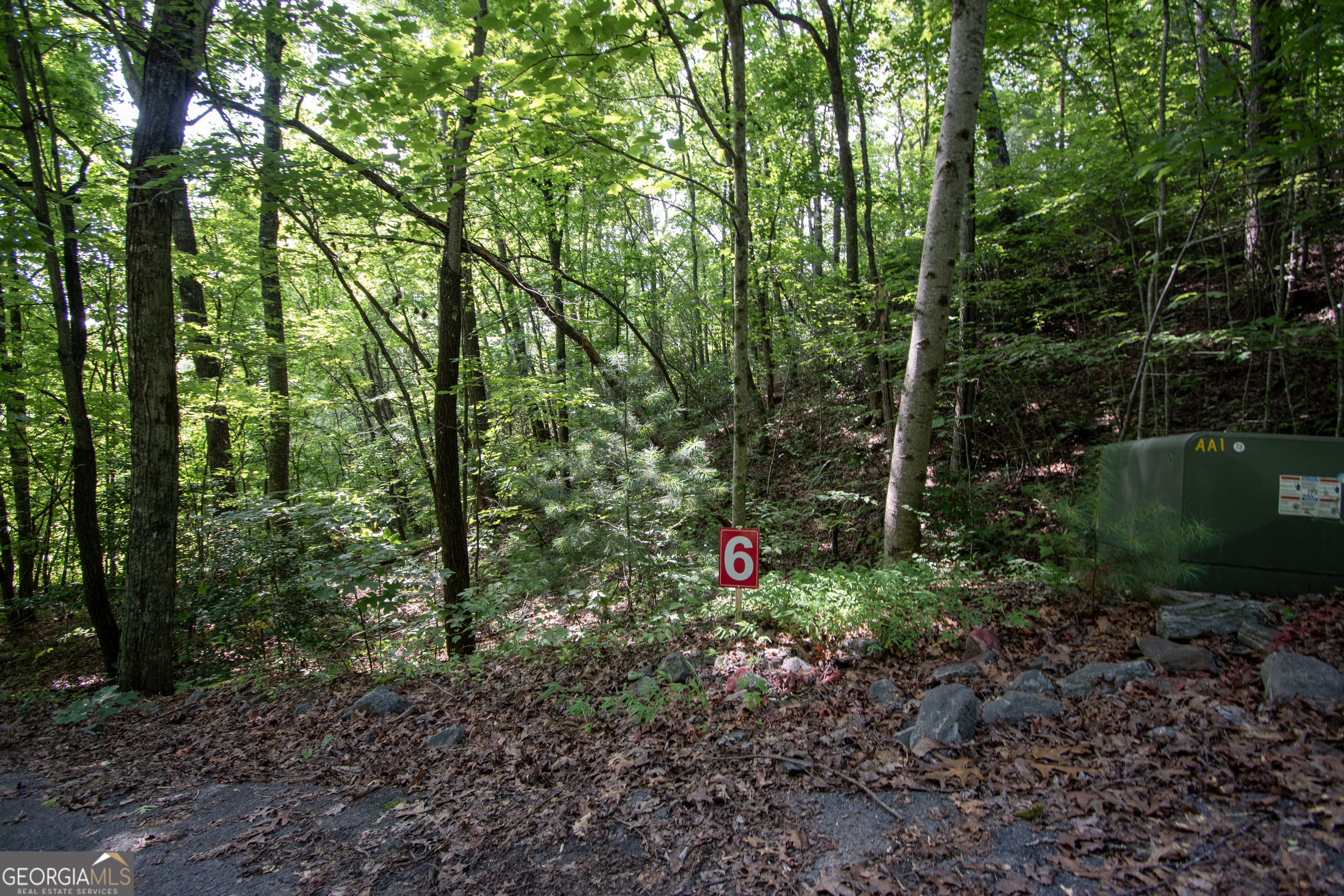 850 Bluff Road Marble, NC 28905 - Photo 4 of 31 Gallery Image 4