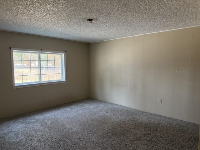 22220 North Elk Chattaroy Road Colbert, WA 99005 - Photo 9 of 16
