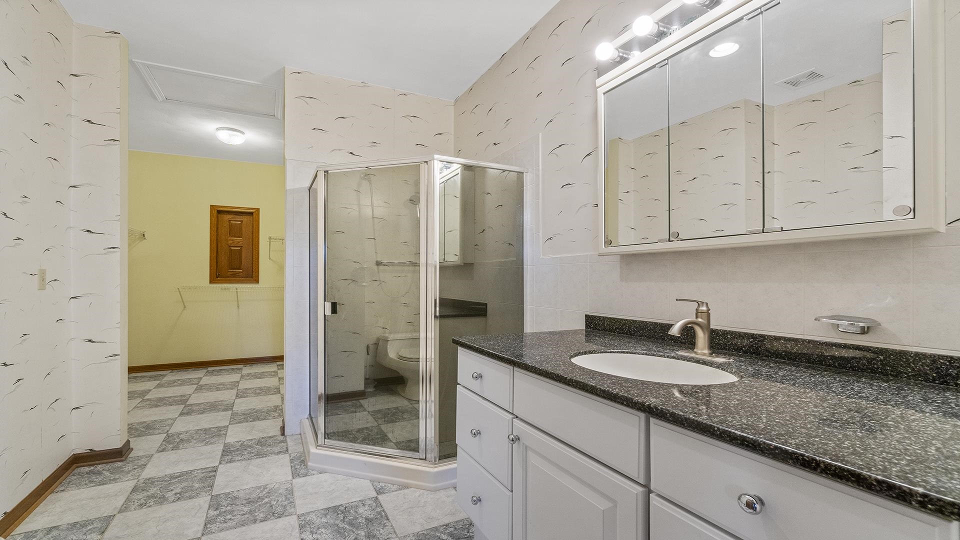 7674 West Pines Road Polo, IL 61064 - Photo 36 of 60 a bathroom with a granite countertop sink a shower and a mirror