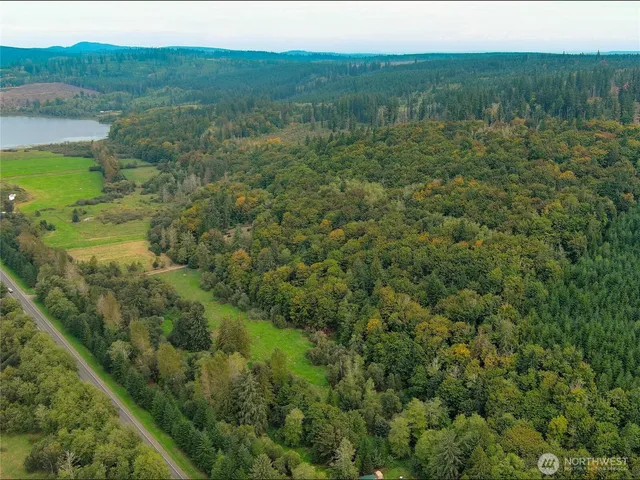 a view of a forest with a street