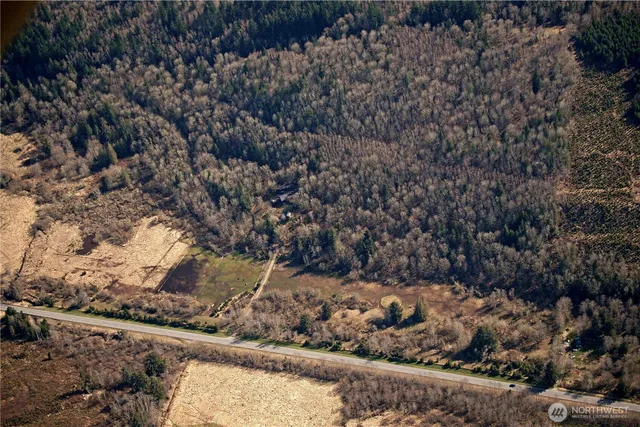 a view of a yard with a tree