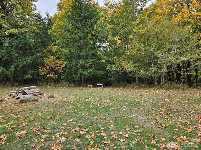 a view of a yard with plants and trees