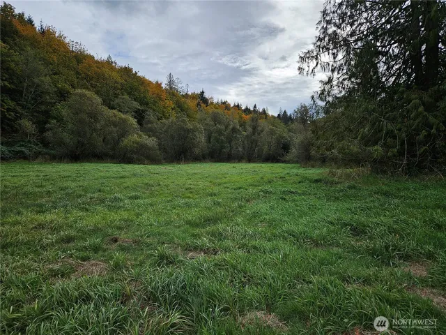 a view of a grassy field with trees in the background