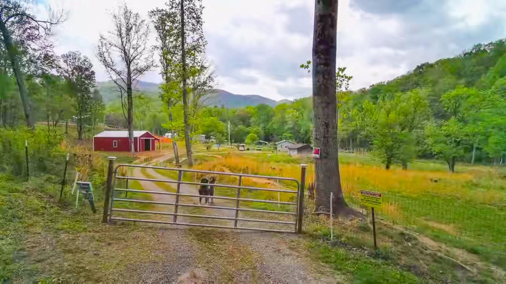 3325 Pack Mountain Road Murphy, NC 28906 - Photo 69 of 69