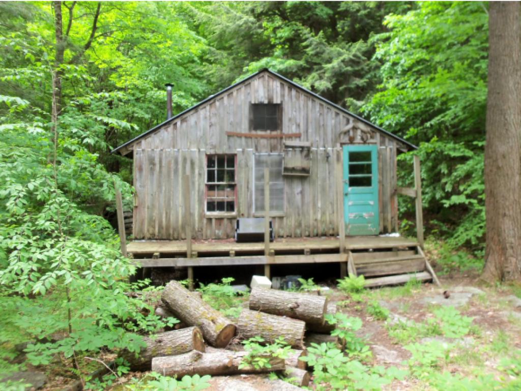 0 Maggie Ladd Road Townshend, VT 05353 - Photo 2 of 5 Gallery Image 2
