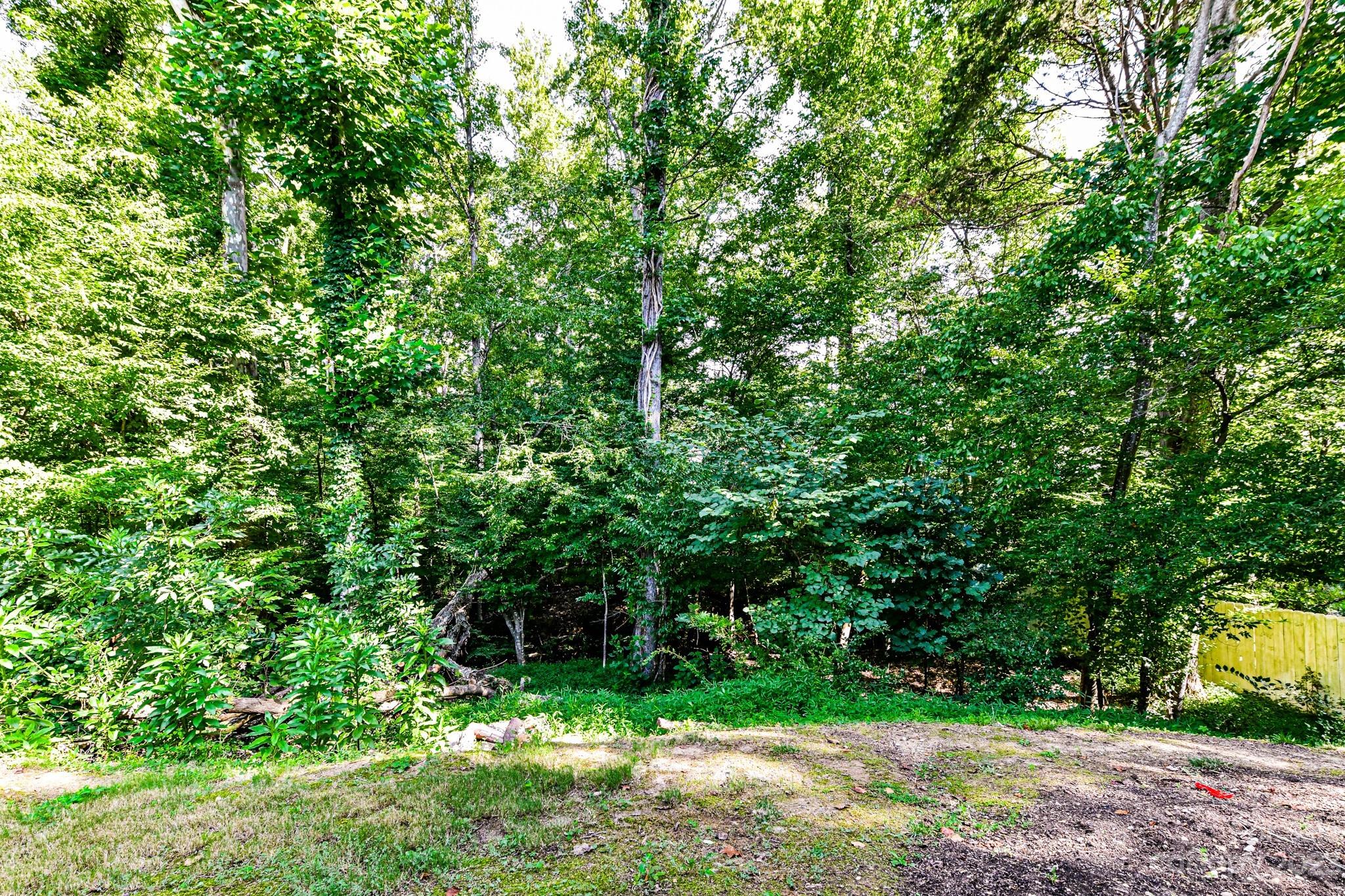 6991 Rothchild Drive Charlotte, NC 28270 - Photo 26 of 37 a view of lush green forest