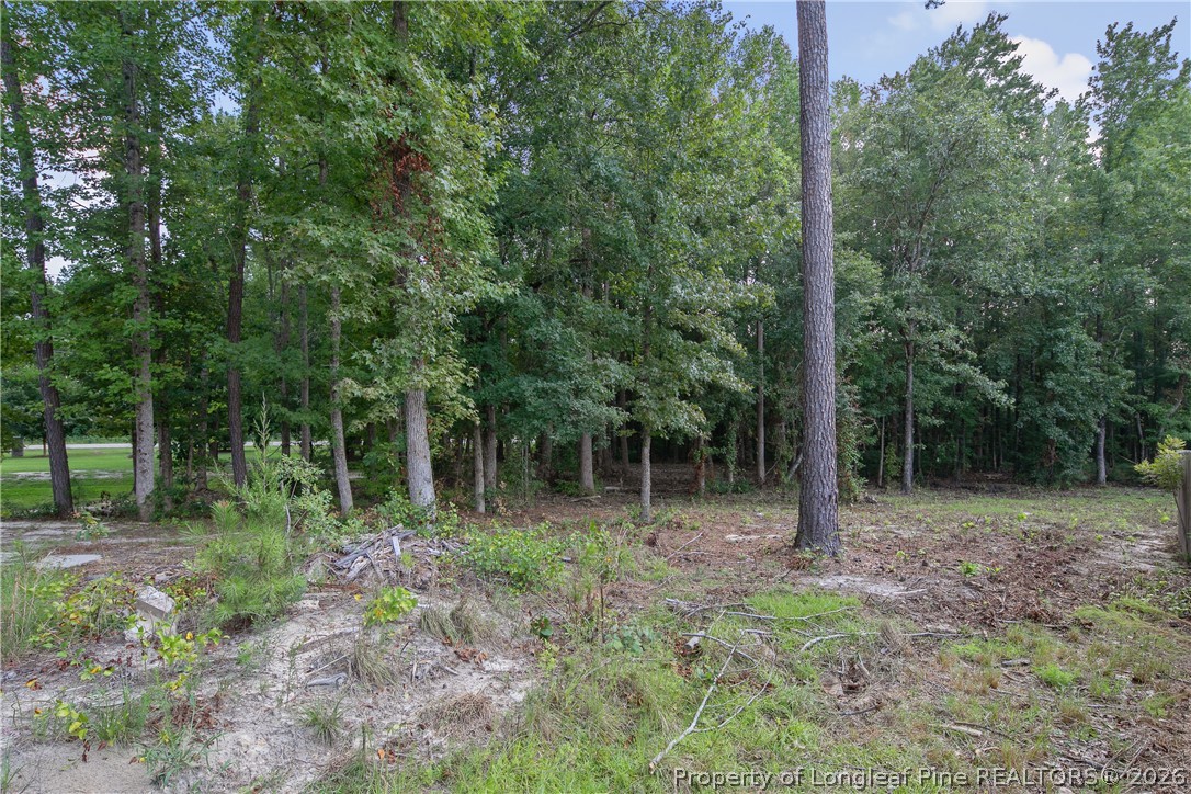 45 Raintree Lane Spring Lake, NC 28390 - Photo 37 of 44 Gallery Image 37
