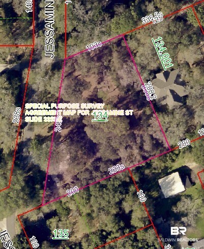 12110 Jessamine Street Magnolia Springs, AL 36555 - Photo 30 of 30 Tax Map Aerial