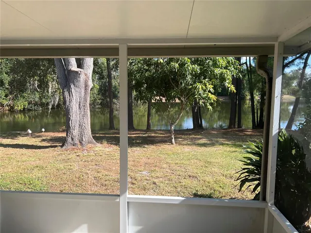 a view of a yard with a tree