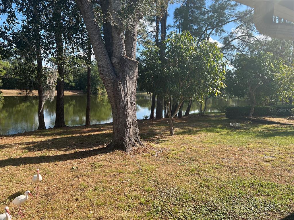 3721 Pickwick Drive Orlando, FL 32817 - Photo 24 of 24